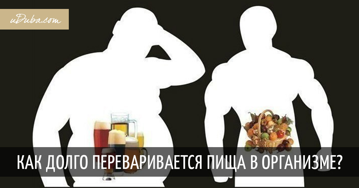 Почему долго переваривается пища 68