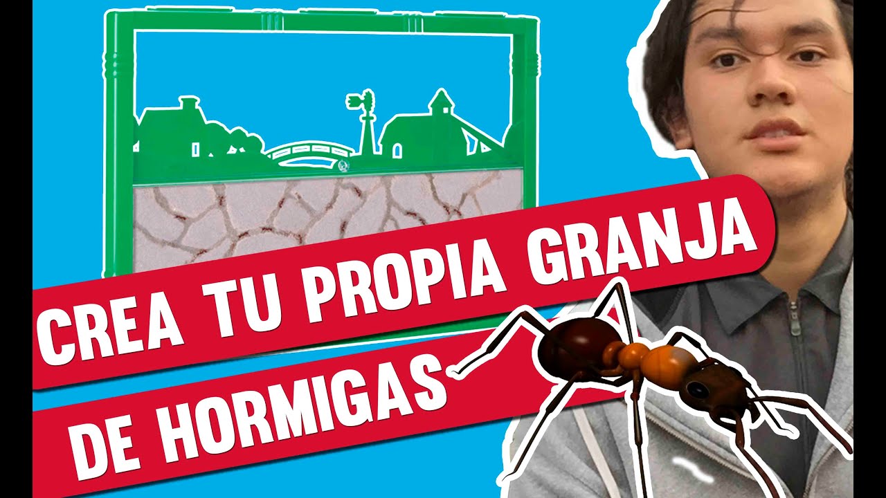 http//youtu.be/Eg1Yt9XxQv8?a