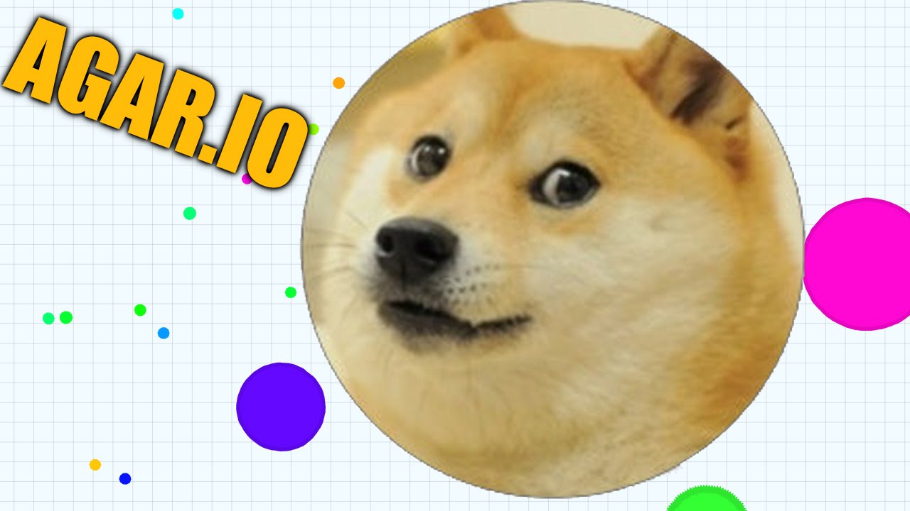 AGARIO DOGE EMPIRE - VERY TACTIC MUCH OWN! (Agar.io) - YouTube ...