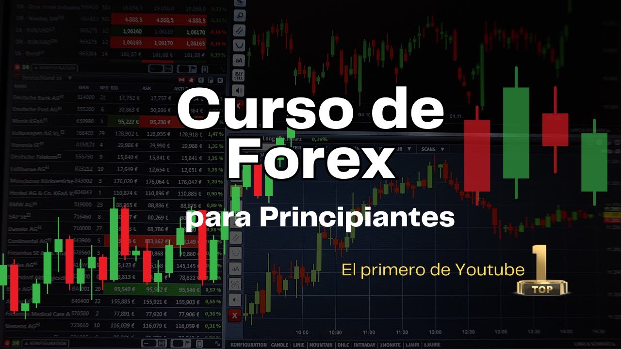 Cursos divisas forex