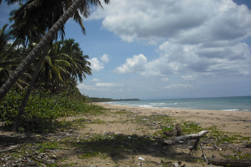 #0 Spectacular Parcel of Beachfront Land in Nagua