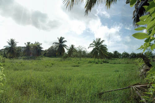 #2 Ideal building site for a condominium development near Cabarete