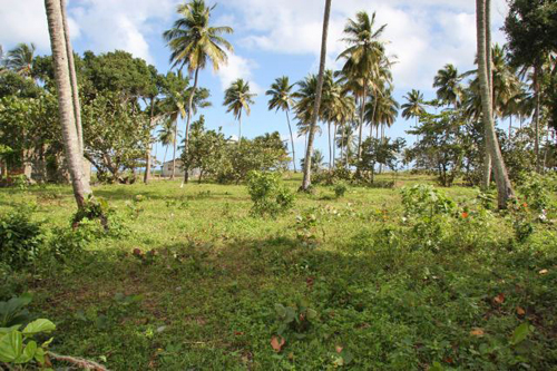 #3 Beachfront Project Opportunity in Cabarete