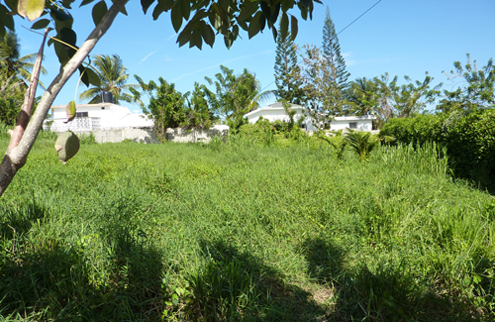 #3 Building lot close to the beach Cabarete