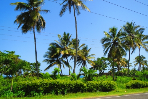 #1 One of the few beach front lots left in town - Kite Beach Cabarete