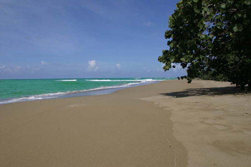 #8 Unique Villa right on the Beach Cabarete