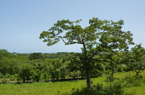 #3 Lot with Ocean View in Sosua