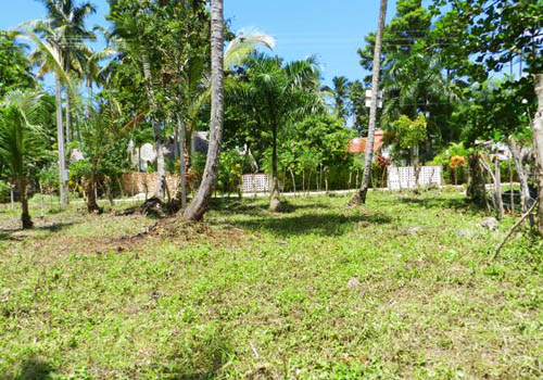 #2 Nice lot in second line beach near Coson Beach