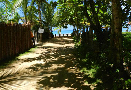 #0 Nice lot in second line beach near Coson Beach