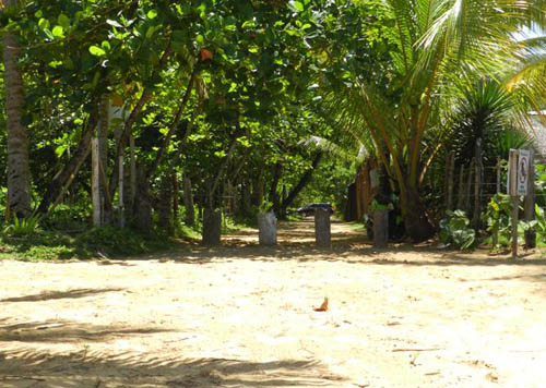 #1 Nice lot in second line beach near Coson Beach