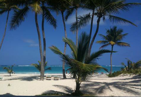 #4 Fully furnished beachfront condo in Bavaro