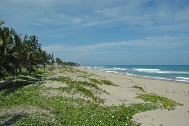 #4 Beachfront Lot in Cabarete with 150 meters beachfront