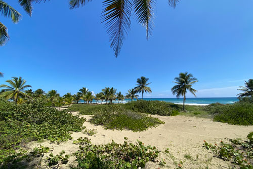 #3 Unique beach property near Cabarete