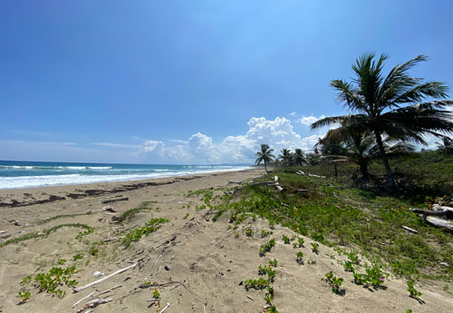 #4 Unique beach property near Cabarete