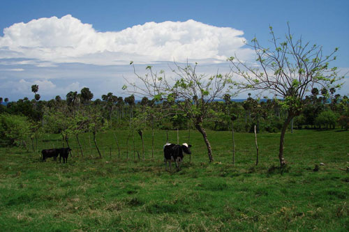 #11 Prime beachfront land for sale in Cabarete