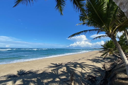 #1 Beachfront Property Kite Beach Cabarete