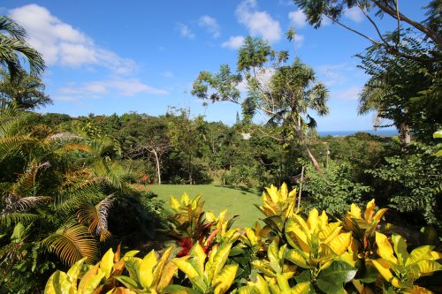 #11 Charming Sosua villa with a large lot and ocean views